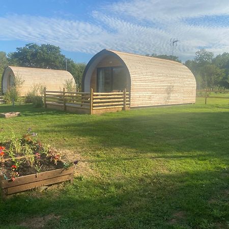 Beech Pod Cabin In Beautiful Surroundings Wrexham Exteriör bild