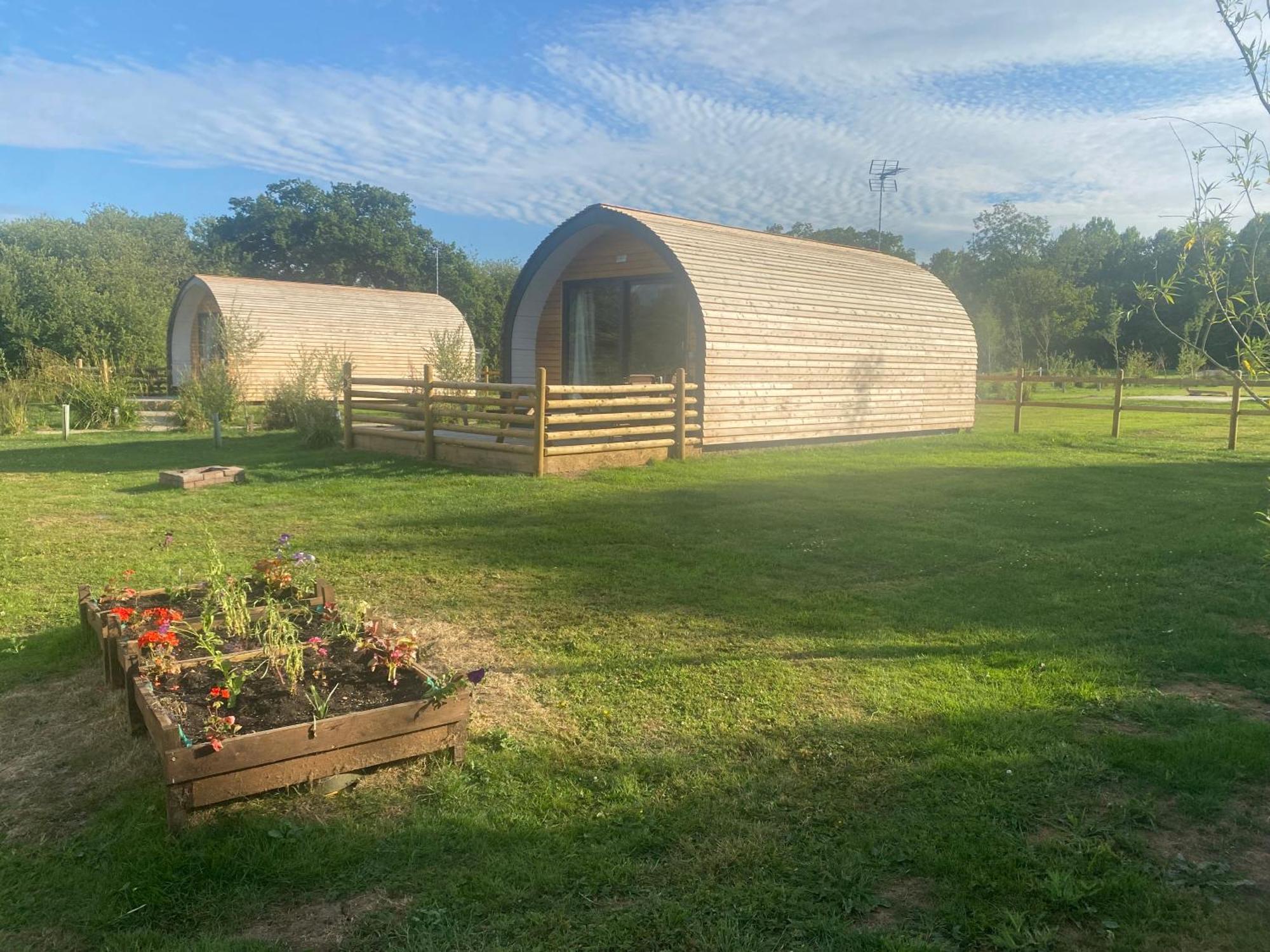 Beech Pod Cabin In Beautiful Surroundings Wrexham Exteriör bild